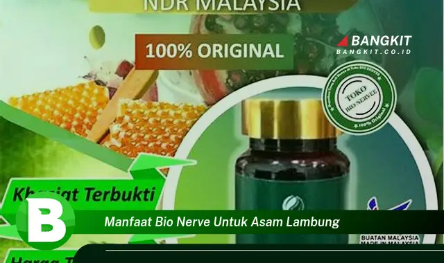 Temukan Manfaat Bio Nerve untuk Asam Lambung yang Wajib Kamu Tau