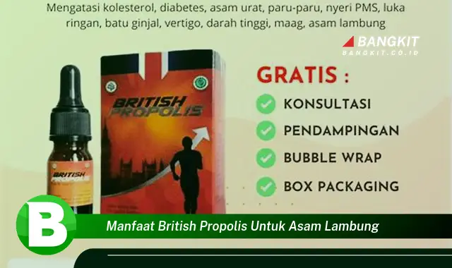 Temukan Manfaat British Propolis untuk Asam Lambung yang Bikin Kamu Penasaran