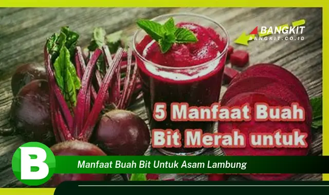 Temukan Manfaat Buah Bit untuk Asam Lambung yang Bikin Kamu Penasaran