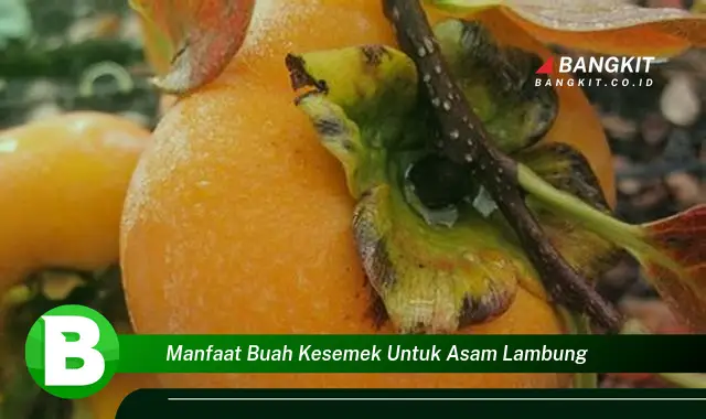 Temukan Manfaat Buah Kesemek yang Bikin Kamu Penasaran untuk Asam Lambung