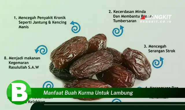 Intip Manfaat Buah Kurma untuk Lambung yang Bikin Kamu Penasaran