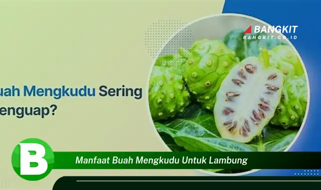 Temukan Manfaat Buah Mengkudu untuk Lambung yang Wajib Kamu Intip