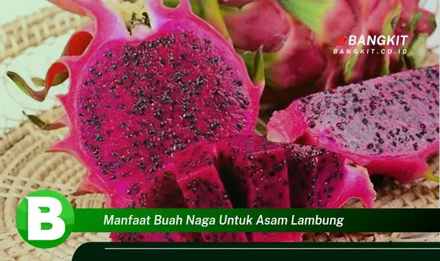 Intip Manfaat Buah Naga untuk Asam Lambung yang Wajib Kamu Ketahui