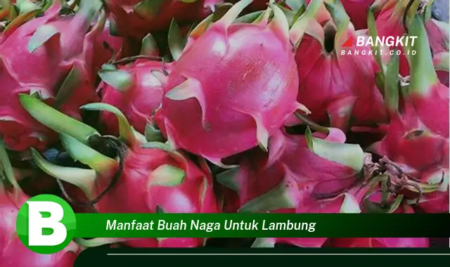 Temukan Khasiat Buah Naga untuk Lambung yang Wajib Kamu Intip