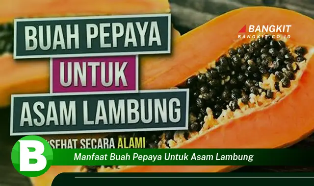 Intip Manfaat Buah Pepaya untuk Asam Lambung yang Wajib Kamu Tahu