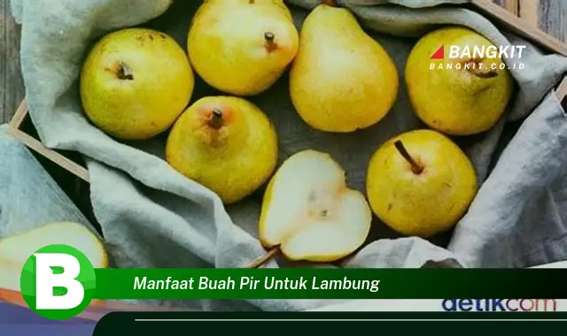 Intip Manfaat Buah Pir yang Bikin Kamu Penasaran untuk Lambung