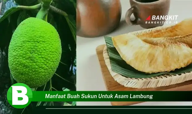 Ketahui Manfaat Buah Sukun untuk Asam Lambung yang Bikin Kamu Penasaran