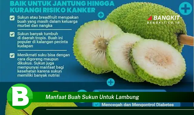 Intip Manfaat Buah Sukun untuk Lambung yang Bikin Kamu Penasaran