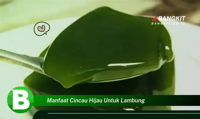 Intip Manfaat Cincau Hijau untuk Lambung yang Bikin Kamu Penasaran