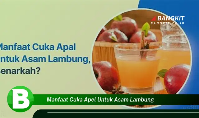 Intip Manfaat Cuka Apel yang Wajib Kamu Tahu Untuk Asam Lambung