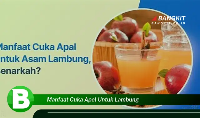 Intip Manfaat Cuka Apel untuk Lambung yang Wajib Kamu Tau