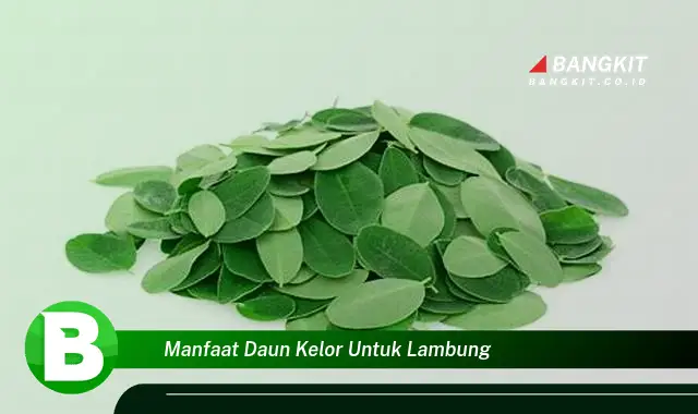 Temukan Manfaat Daun Kelor untuk Lambung yang Wajib Kamu Intip