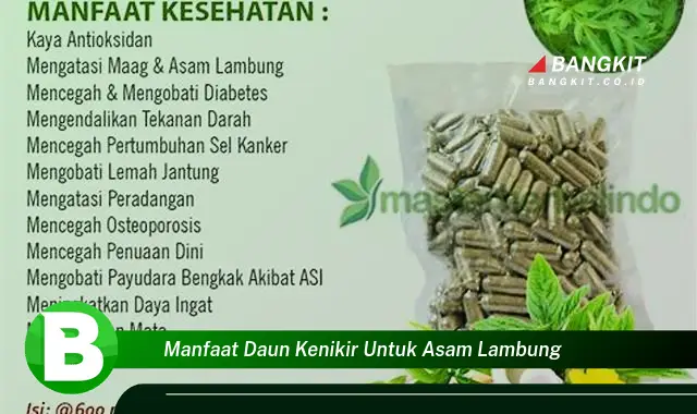 Intip Manfaat Daun Kenikir untuk Asam Lambung yang Wajib Kamu Tahu