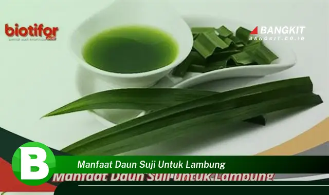 Temukan Manfaat Daun Suji untuk Lambung yang Bikin Kamu Penasaran