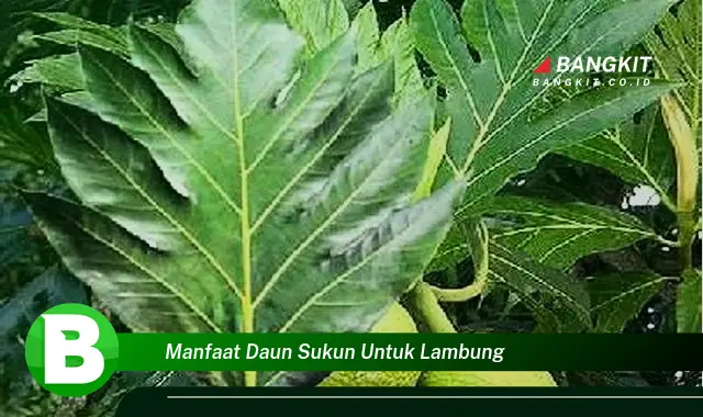 Temukan Manfaat Daun Sukun untuk Lambung yang Wajib Kamu Ketahui