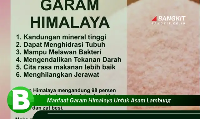 Temukan Manfaat Garam Himalaya untuk Asam Lambung yang Bikin Kamu Penasaran