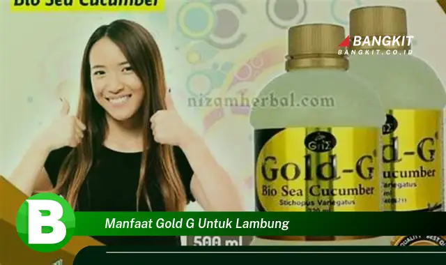 Intip Manfaat Gold-G untuk Lambung yang Bikin Kamu Penasaran!