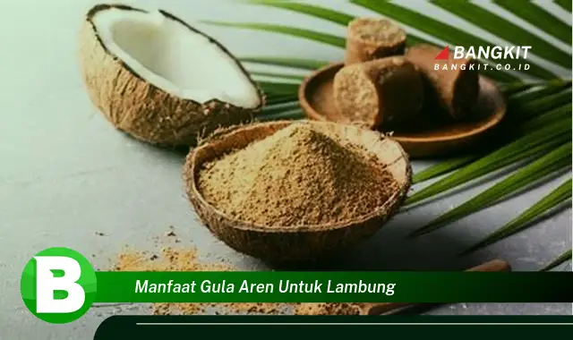 Intip Manfaat Gula Aren untuk Lambung yang Wajib Kamu Tahu