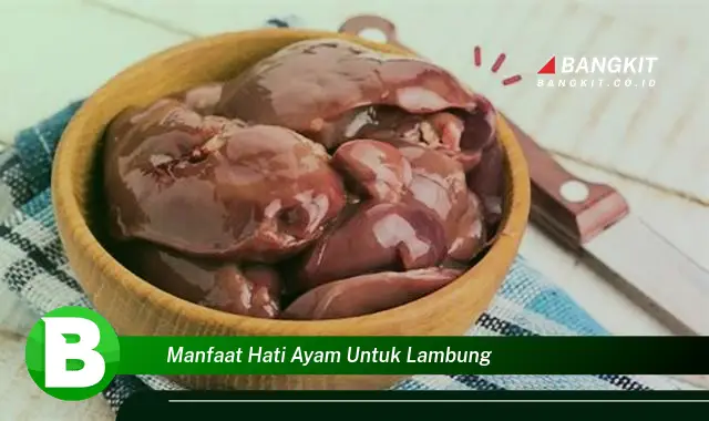 Intip Manfaat Hati Ayam untuk Lambung yang Wajib Kamu Tau