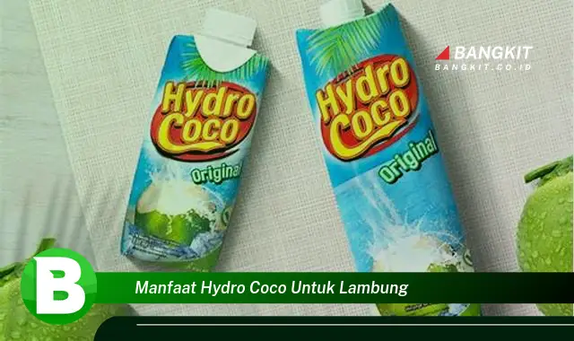 Temukan Manfaat Hydro Coco untuk Lambung yang Bikin Kamu Penasaran