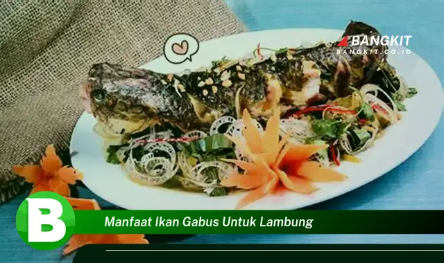 Intip Manfaat Ikan Gabus untuk Lambung yang Wajib Kamu Intip