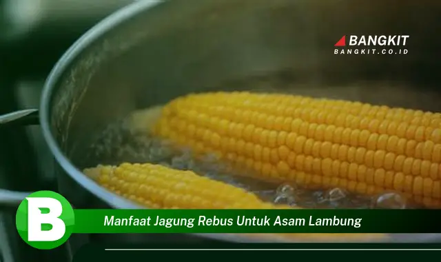 Ketahui Manfaat Jagung Rebus untuk Asam Lambung yang Bikin Kamu Penasaran