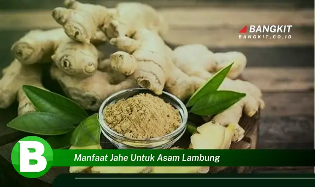 Temukan Manfaat Jahe untuk Asam Lambung yang Bikin Kamu Penasaran