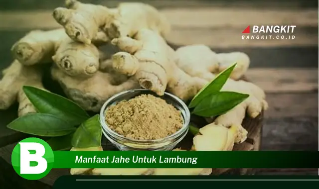 Intip Manfaat Jahe untuk Lambung yang Bikin Kamu Penasaran