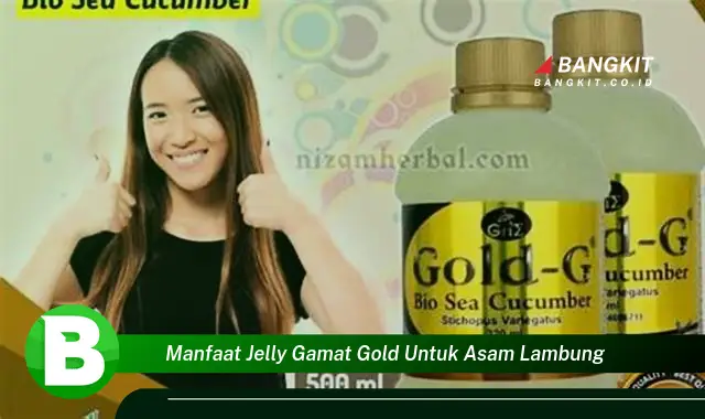 Intip Manfaat Jelly Gamat Gold untuk Asam Lambung yang Wajib Kamu Tau