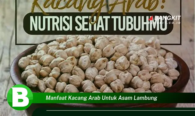 Temukan Manfaat Kacang Arab untuk Asam Lambung yang Bikin Kamu Penasaran