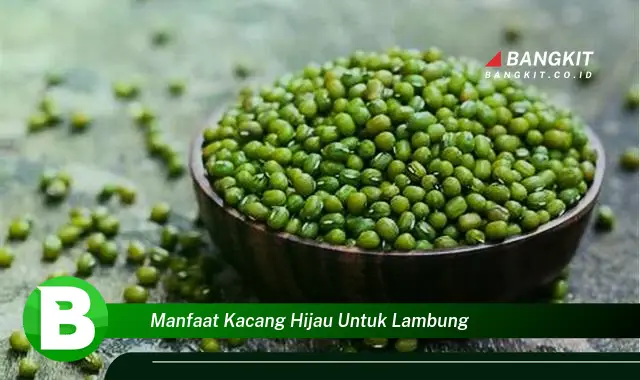 Intip Manfaat Kacang Hijau untuk Lambung yang Wajib Kamu Tahu