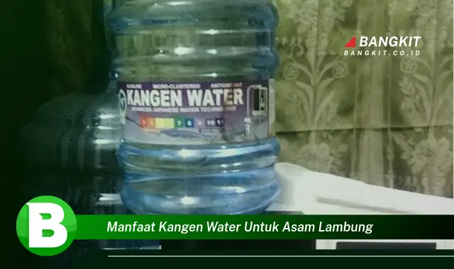 Intip Manfaat Kangen Water untuk Asam Lambung yang Bikin Kamu Penasaran