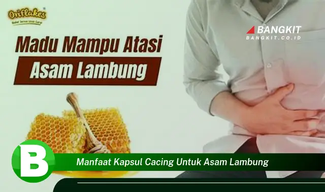 Intip Manfaat Kapsul Cacing untuk Asam Lambung yang Bikin Kamu Penasaran