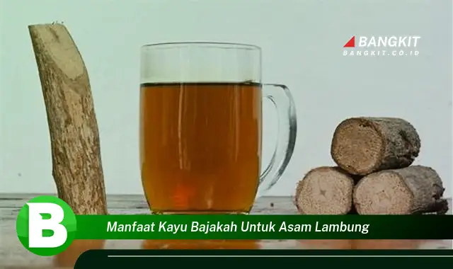 Ketahui Manfaat Kayu Bajakah untuk Asam Lambung yang Bikin Kamu Penasaran