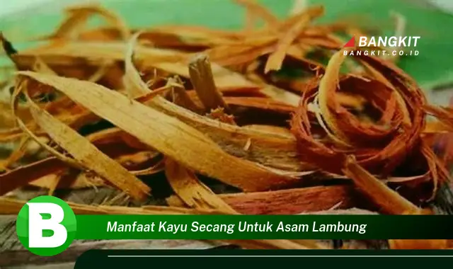 Temukan Manfaat Kayu Secang untuk Asam Lambung yang Bikin Kamu Penasaran