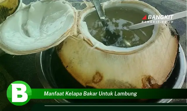 Ketahui Manfaat Kelapa Bakar untuk Lambung yang Bikin Kamu Penasaran