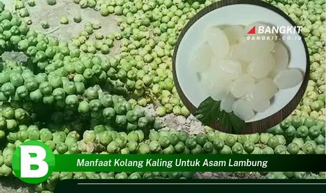 Ketahui Manfaat Kolang Kaling untuk Lambung yang Bikin Kamu Penasaran