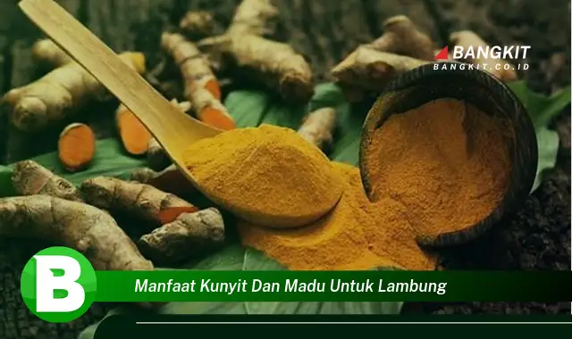 Intip Manfaat Kunyit dan Madu untuk Lambung yang Bikin Kamu Penasaran