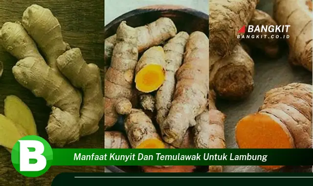 Intip Manfaat Kunyit dan Temulawak untuk Lambung yang Wajib Kamu Tau