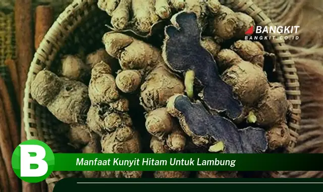 Ketahui Manfaat Kunyit Hitam untuk Lambung yang Wajib Kamu Tau