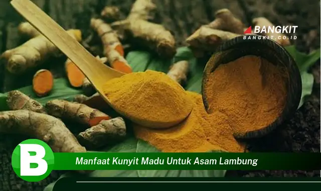 Temukan Manfaat Kunyit Madu untuk Asam Lambung yang Bikin Kamu Penasaran