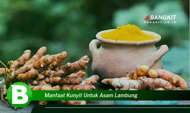 Temukan Manfaat Kunyit untuk Asam Lambung yang Bikin Kamu Penasaran