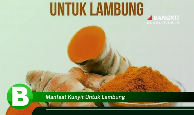 Intip Manfaat Kunyit untuk Lambung yang Bikin Kamu Penasaran