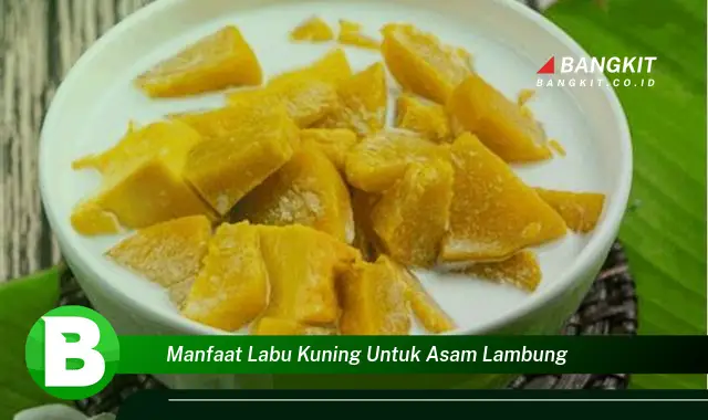 Intip Manfaat Labu Kuning untuk Asam Lambung yang Bikin Kamu Penasaran