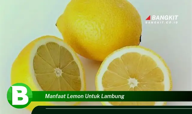 Temukan Manfaat Lemon untuk Lambung yang Bikin Kamu Penasaran