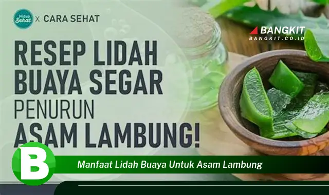 Intip Manfaat Lidah Buaya untuk Asam Lambung yang Bikin Kamu Penasaran