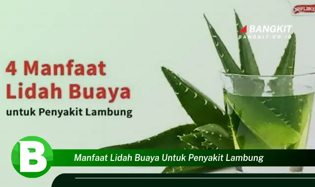 Temukan Manfaat Lidah Buaya untuk Penyakit Lambung yang Bikin Kamu Penasaran