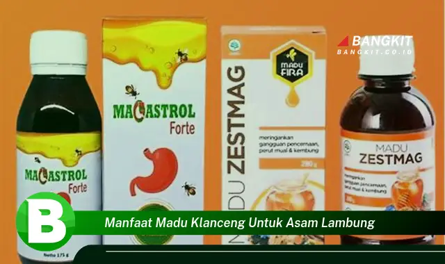 Ketahui Manfaat Madu Klanceng untuk Asam Lambung yang Bikin Kamu Penasaran