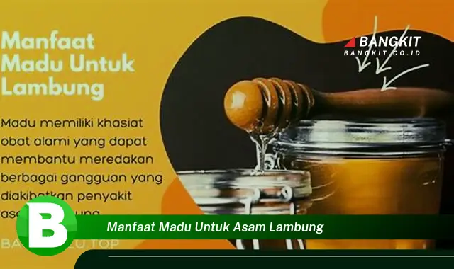 Ketahui Manfaat Madu untuk Asam Lambung yang Bikin Kamu Penasaran