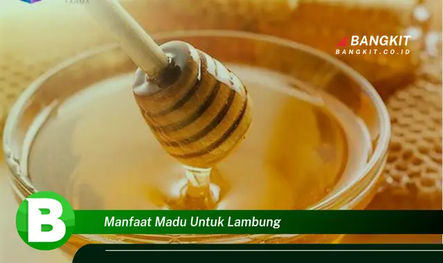 Temukan Manfaat Madu untuk Lambung yang Wajib Kamu Intip